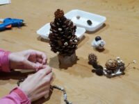 高山・市民の森　森林教室 実施報告＜木の実のクラフト＞