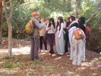 講師派遣・実施報告（スズガクSDGsイベント・自然観察）